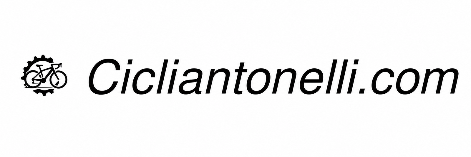 cicliantonelli.com