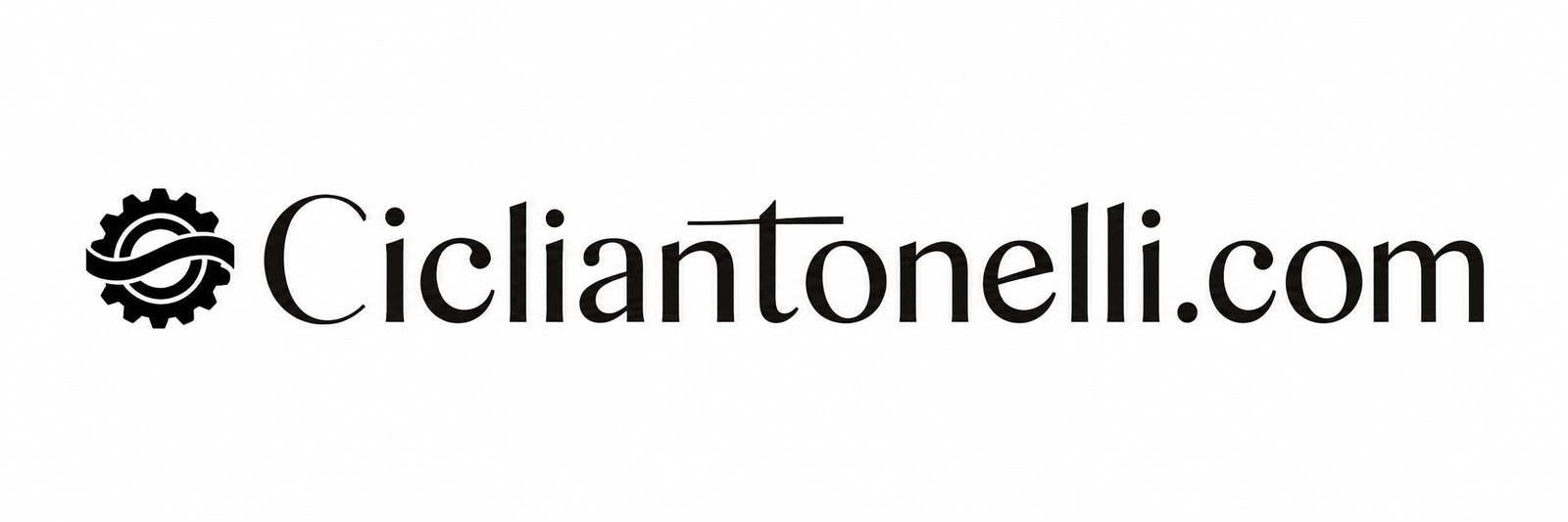 cicliantonelli.com